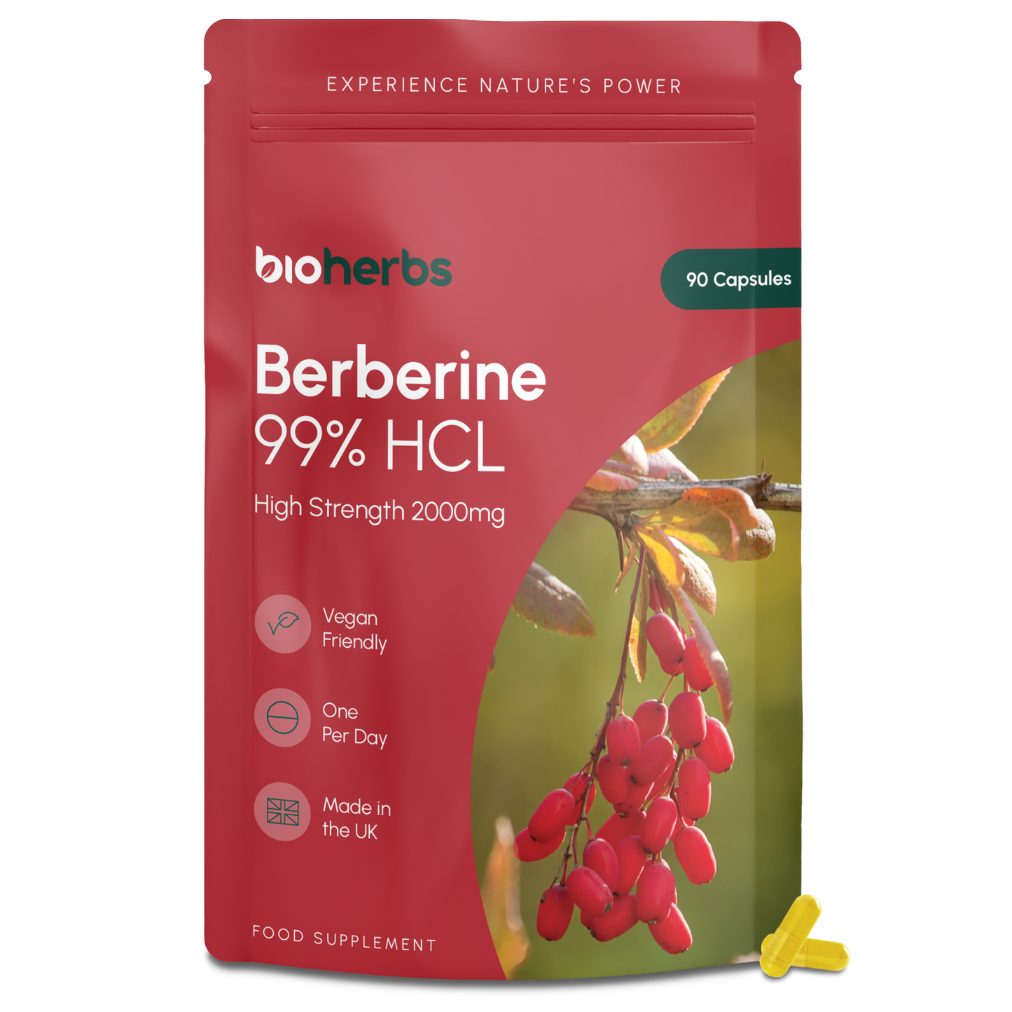 BioHerbs Berberine HCL Supplement High Strength - 99% HCL | 90 One-Per-Day Capsules (3-Month Supply)