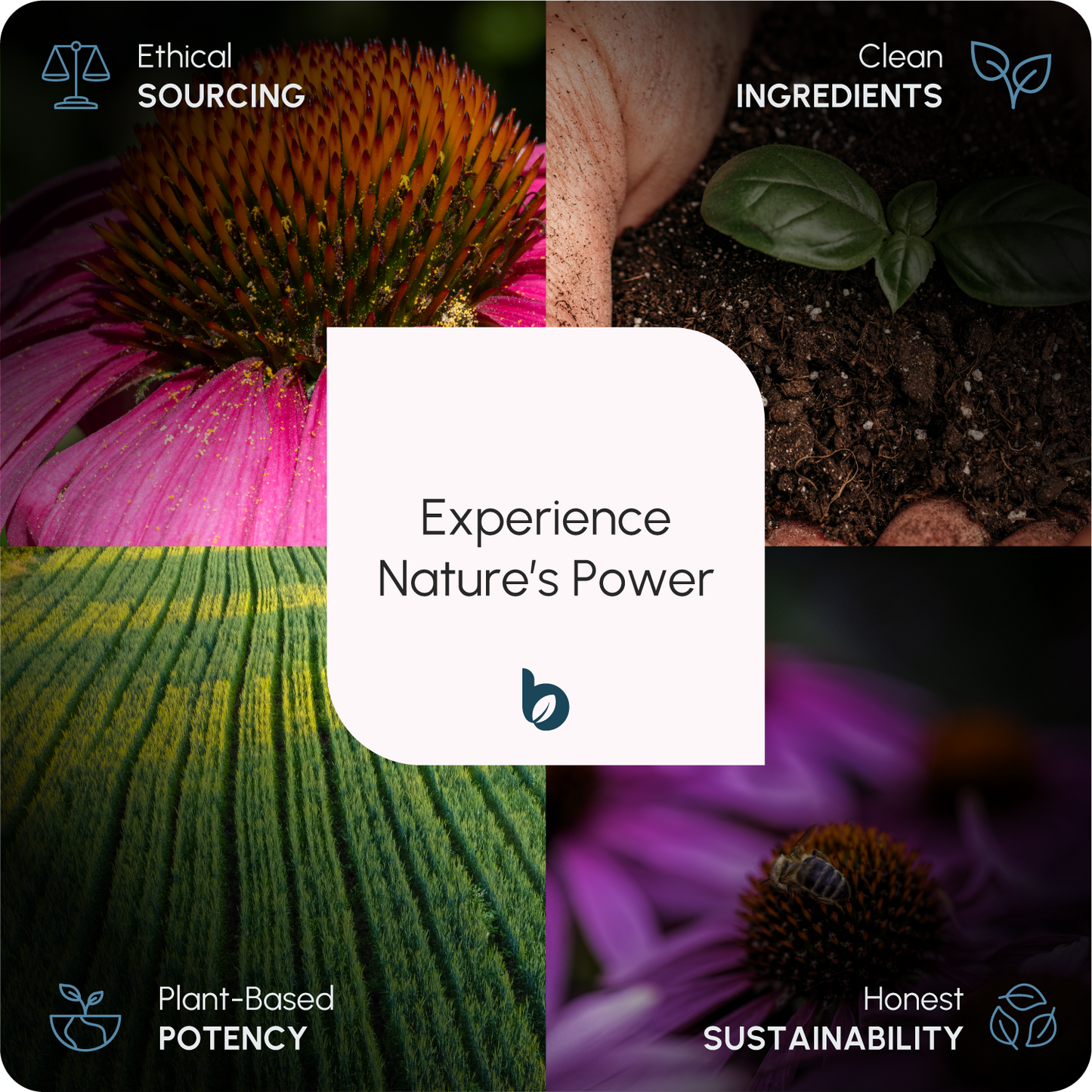 Water Balance Tablets - Dandelion Root 6000mg | 120 One-Per-Day Tablets (4-Month Supply)