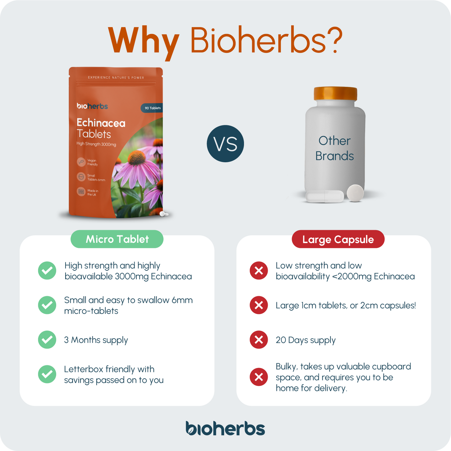 BioHerbs Echinacea Tablets High Strength 3000mg - 90 One-Per-Day Micro Tablets (3-Month Supply)