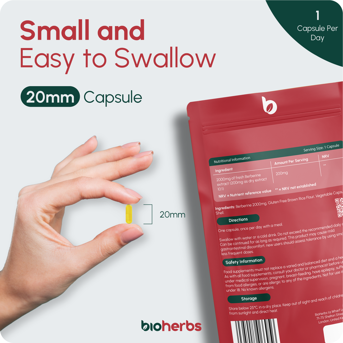 BioHerbs Berberine HCL Supplement High Strength - 99% HCL | 90 One-Per-Day Capsules (3-Month Supply)