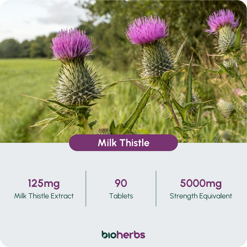 Milk Thistle High Strength 5000mg - 80% Silymarin (125mg Extract) | 90 One-Per-Day Milk Thistle Tablets (3-Month Supply)
