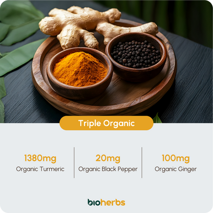Organic Turmeric Capsules 1500mg with Black Pepper & Ginger | High Strength Turmeric Supplement by BioHerbs | 120 Capsules (2-Month Supply)
