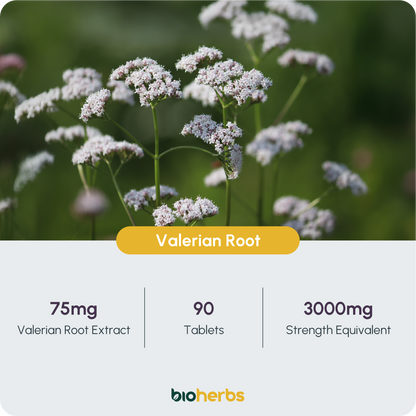 Valerian Root Tablets 3000mg – High Strength | 90 Tablets