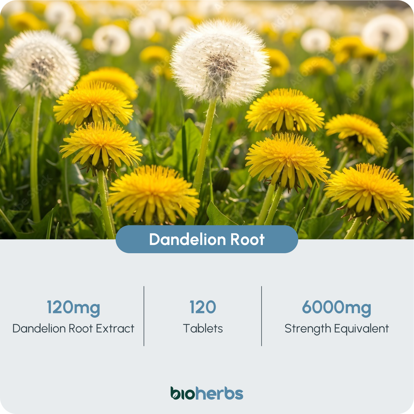 Water Balance Tablets - Dandelion Root 6000mg | 120 One-Per-Day Tablets (4-Month Supply)