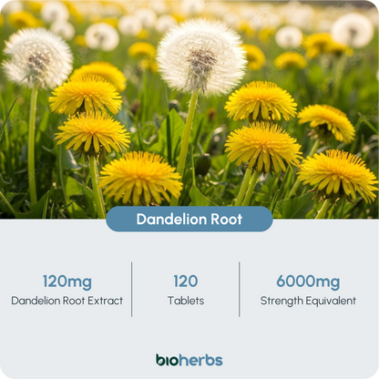 Water Balance Tablets - Dandelion Root 6000mg | 120 One-Per-Day Tablets (4-Month Supply)