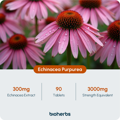 BioHerbs Echinacea Tablets High Strength 3000mg - 90 One-Per-Day Micro Tablets (3-Month Supply)