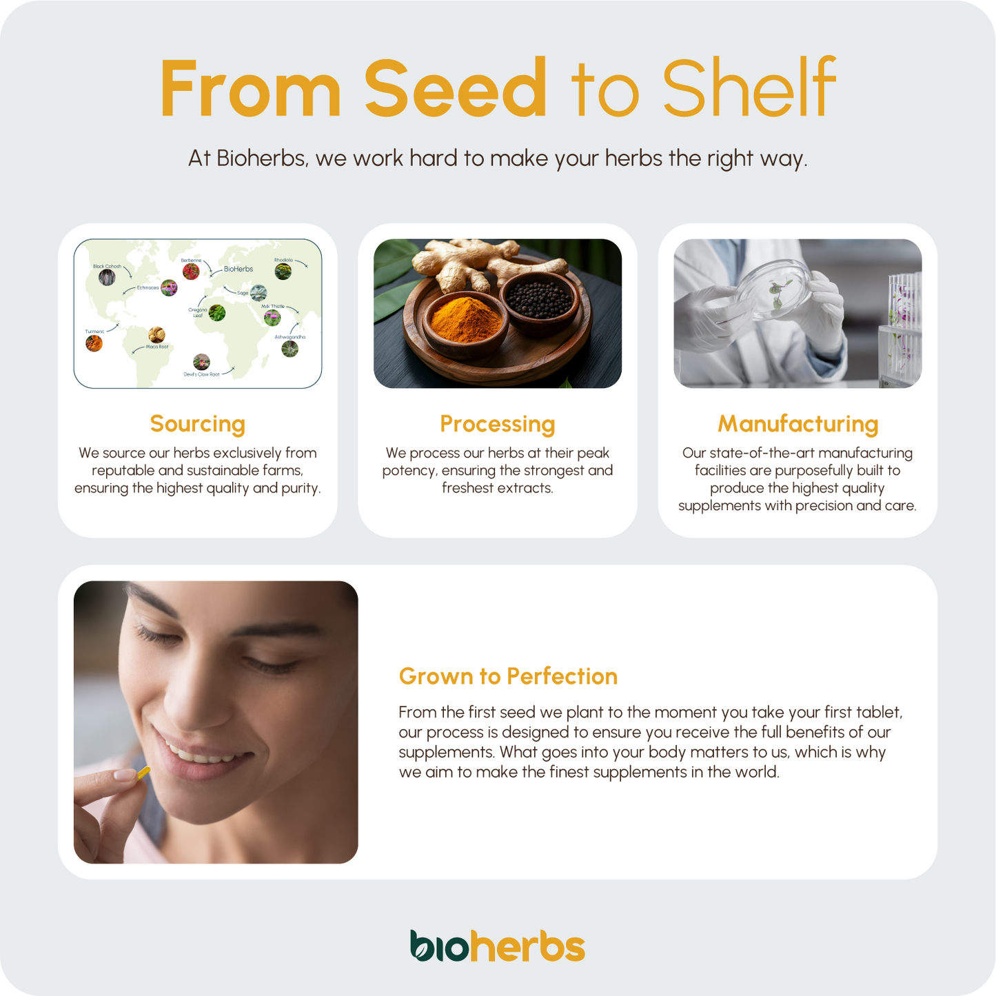 Organic Turmeric Capsules 1500mg with Black Pepper & Ginger | High Strength Turmeric Supplement by BioHerbs | 120 Capsules (2-Month Supply)