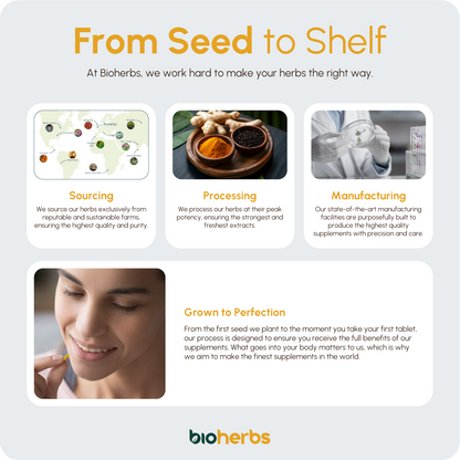 Organic Turmeric Capsules 1500mg with Black Pepper & Ginger | High Strength Turmeric Supplement by BioHerbs | 120 Capsules (2-Month Supply)