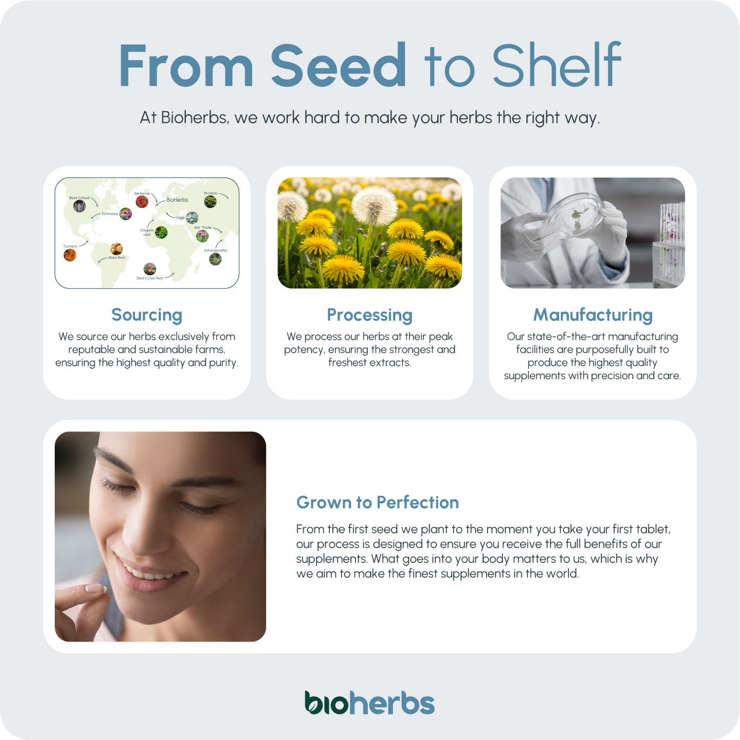 Water Balance Tablets - Dandelion Root 6000mg | 120 One-Per-Day Tablets (4-Month Supply)