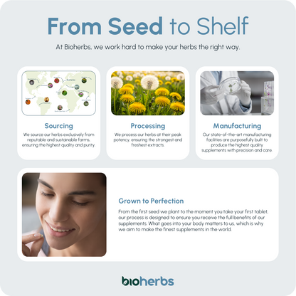 Water Balance Tablets - Dandelion Root 6000mg | 120 One-Per-Day Tablets (4-Month Supply)