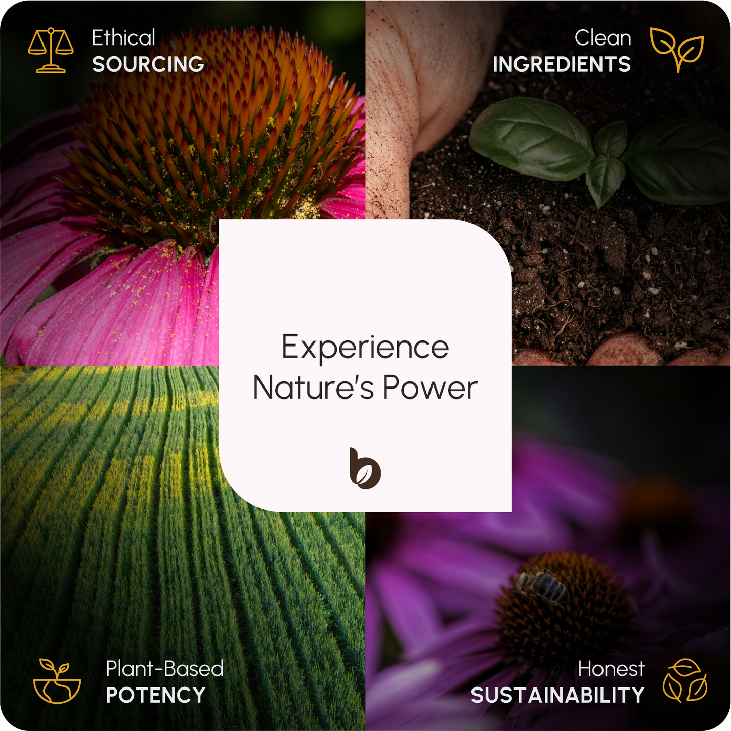 Organic Turmeric Capsules 1500mg with Black Pepper & Ginger | High Strength Turmeric Supplement by BioHerbs | 120 Capsules (2-Month Supply)