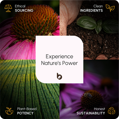 Organic Turmeric Capsules 1500mg with Black Pepper & Ginger | High Strength Turmeric Supplement by BioHerbs | 120 Capsules (2-Month Supply)