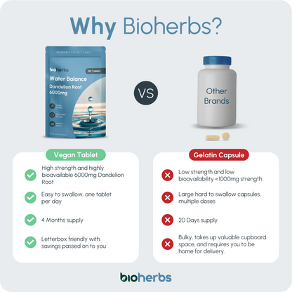 Water Balance Tablets - Dandelion Root 6000mg | 120 One-Per-Day Tablets (4-Month Supply)