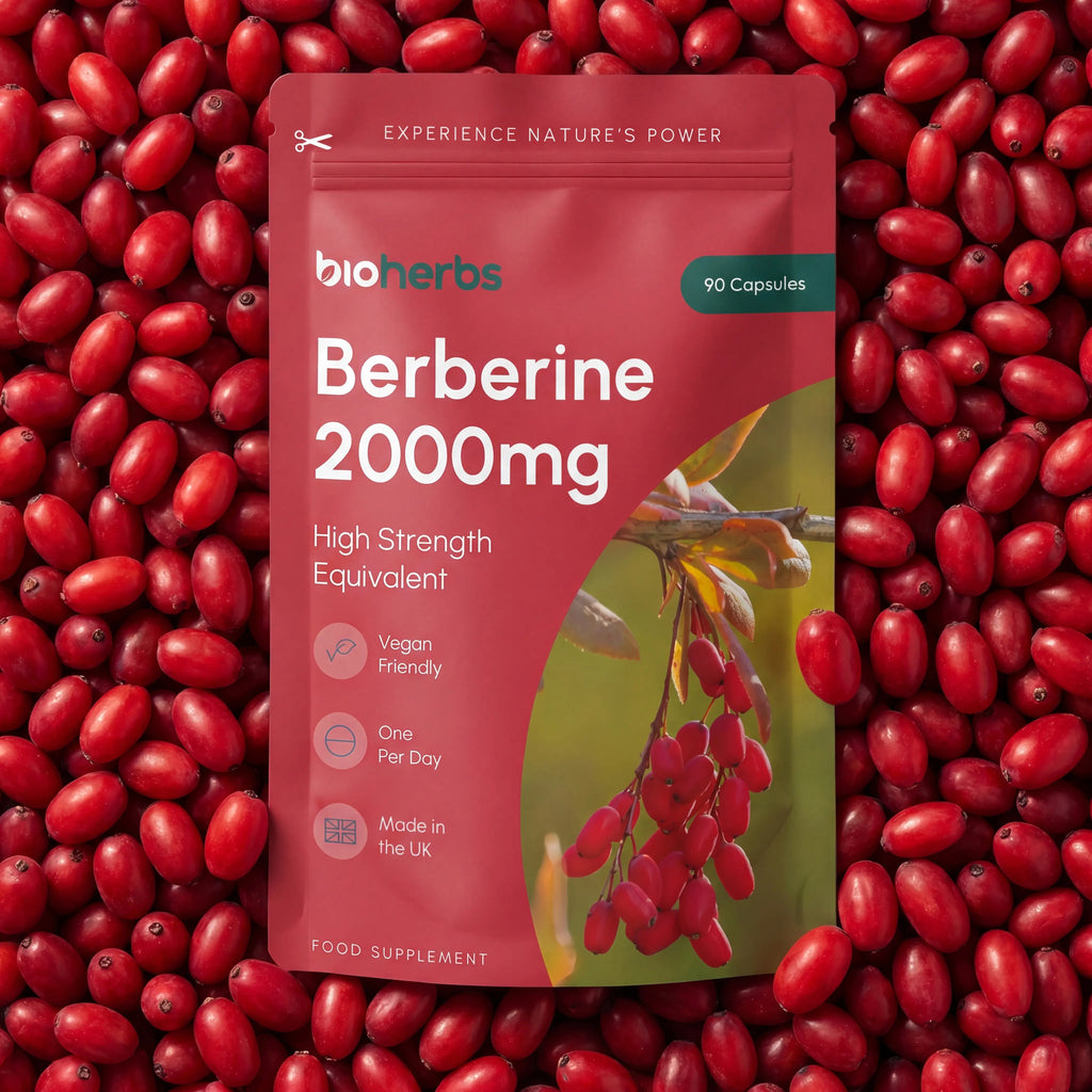 BioHerbs Berberine HCL Supplement High Strength - 99% HCL | 90 One-Per-Day Capsules (3-Month Supply)