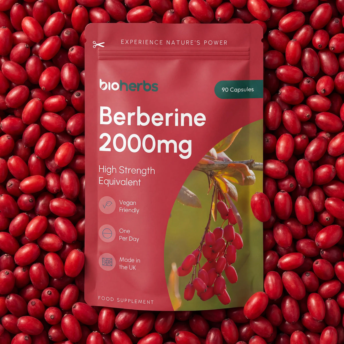 BioHerbs Berberine HCL Supplement High Strength - 99% HCL | 90 One-Per-Day Capsules (3-Month Supply)