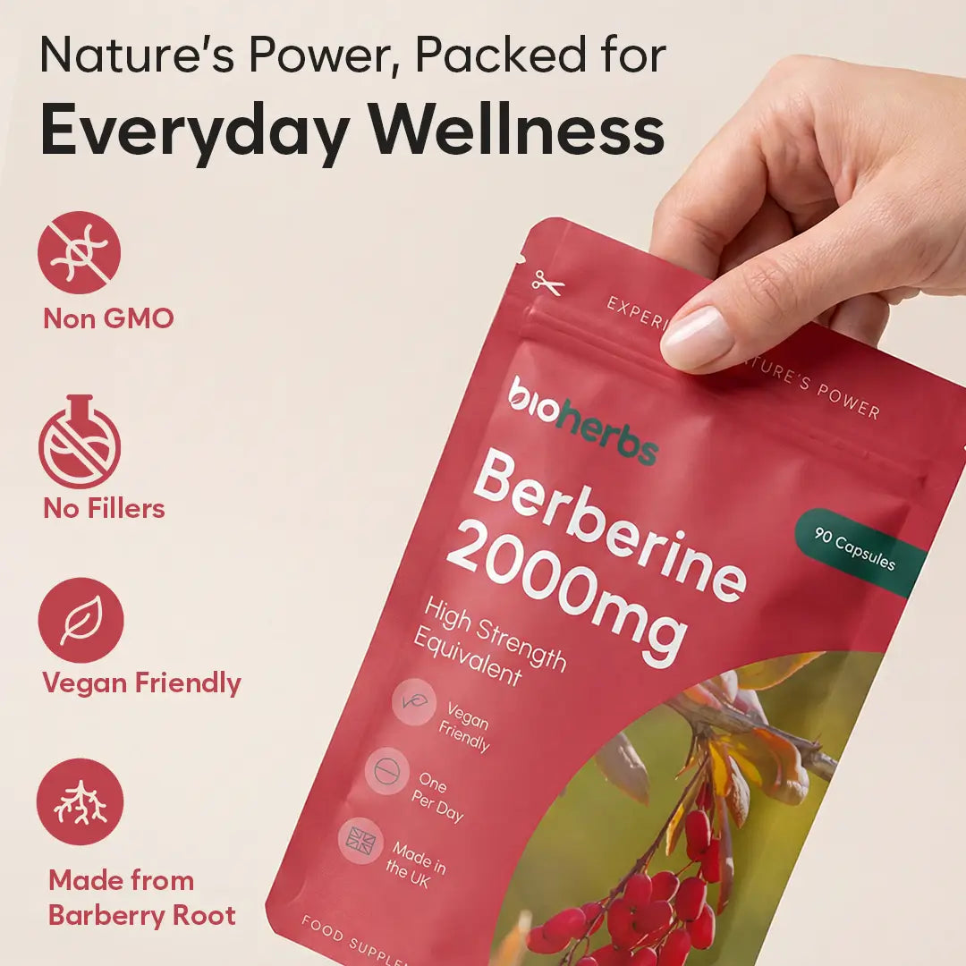 BioHerbs Berberine HCL Supplement High Strength - 99% HCL | 90 One-Per-Day Capsules (3-Month Supply)