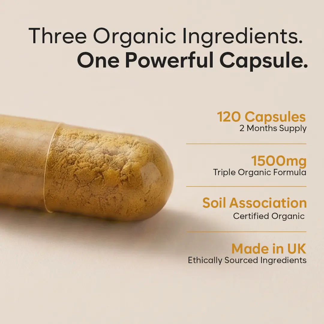 Organic Turmeric Capsules 1500mg with Black Pepper & Ginger | High Strength Turmeric Supplement by BioHerbs | 120 Capsules (2-Month Supply)