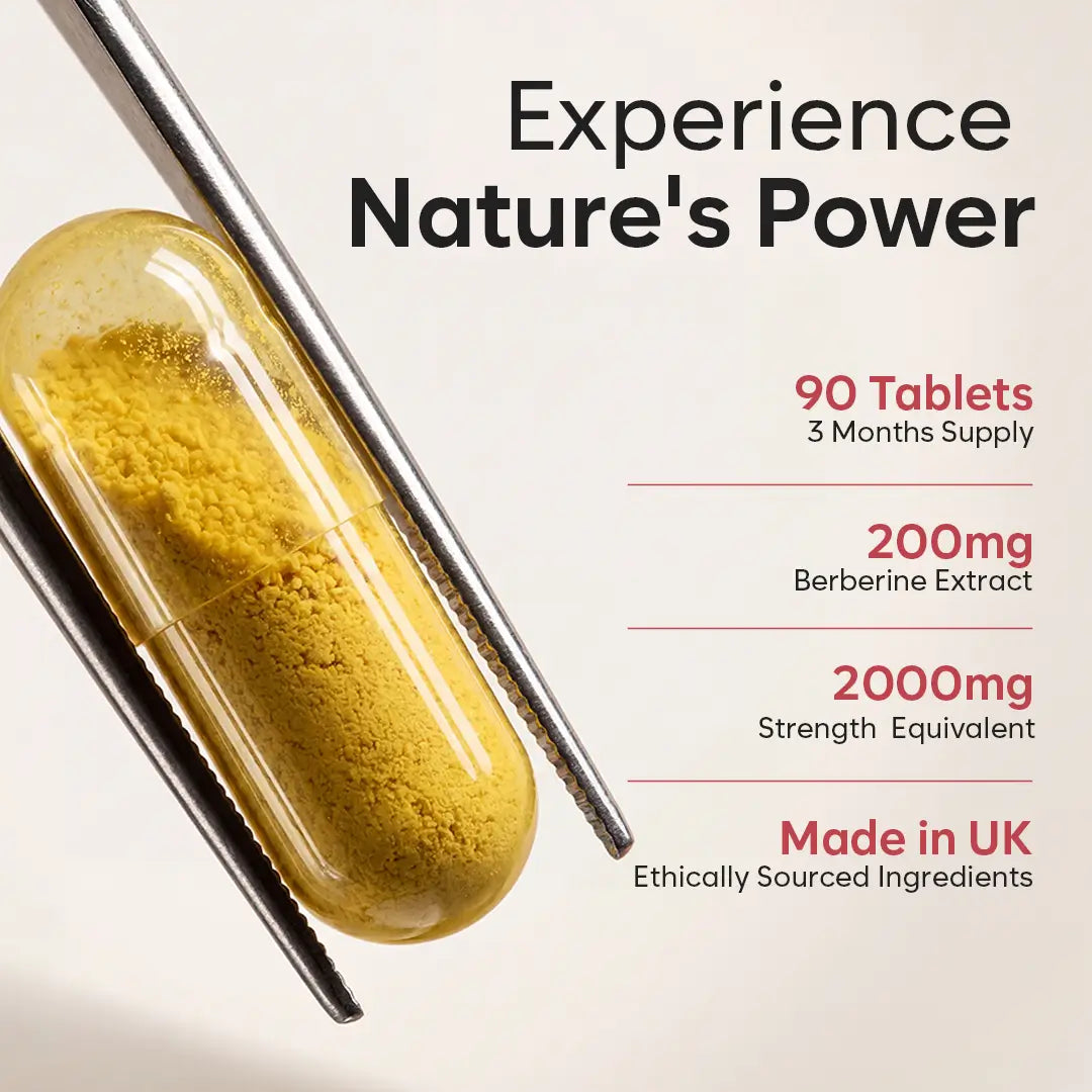 BioHerbs Berberine HCL Supplement High Strength - 99% HCL | 90 One-Per-Day Capsules (3-Month Supply)