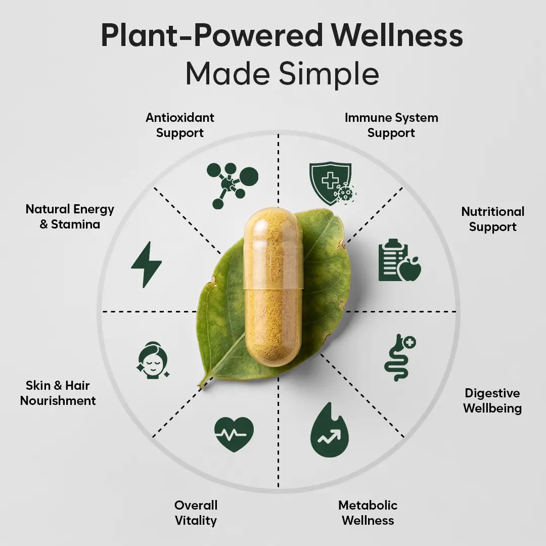 Moringa Capsules 6000mg – High Strength Moringa Leaf | 120 Vegan Capsules