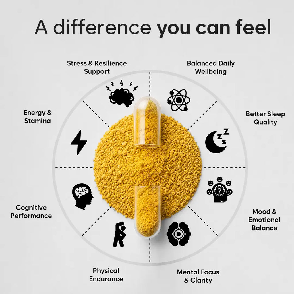 Rhodiola Rosea Capsules High Strength - 600mg 3% Rosavins 1% Salidroside by BioHerbs | 60 One-Per Day Capsules (2-Month Supply)