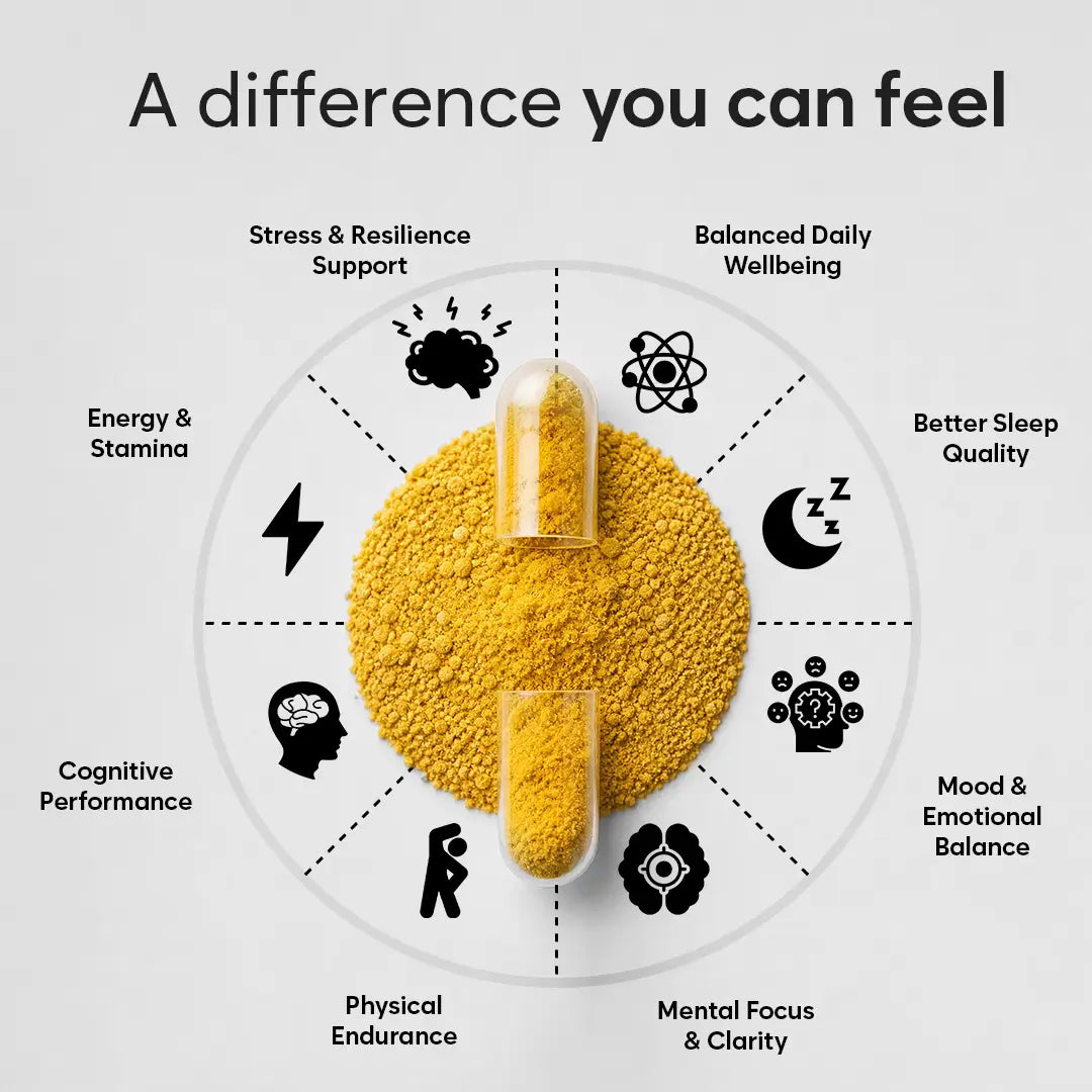 Rhodiola Rosea Capsules High Strength - 600mg 3% Rosavins 1% Salidroside by BioHerbs | 60 One-Per Day Capsules (2-Month Supply)