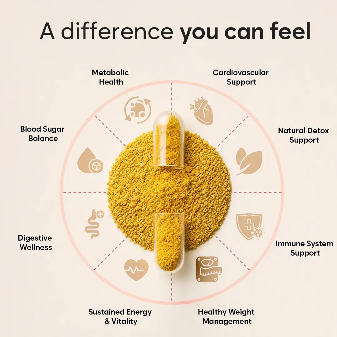 BioHerbs Berberine HCL Supplement High Strength - 99% HCL | 90 One-Per-Day Capsules (3-Month Supply)