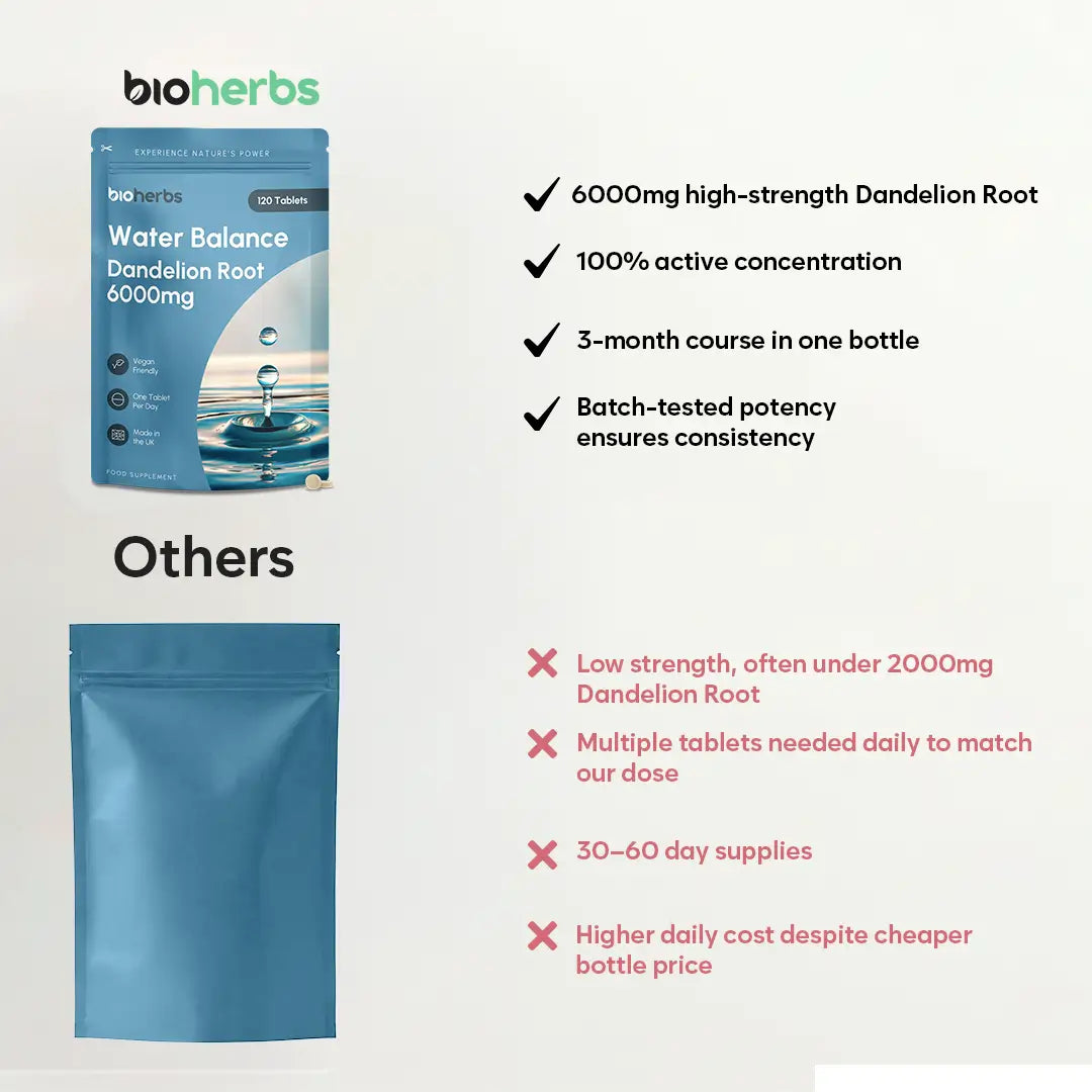 Water Balance Tablets - Dandelion Root 6000mg | 120 One-Per-Day Tablets (4-Month Supply)