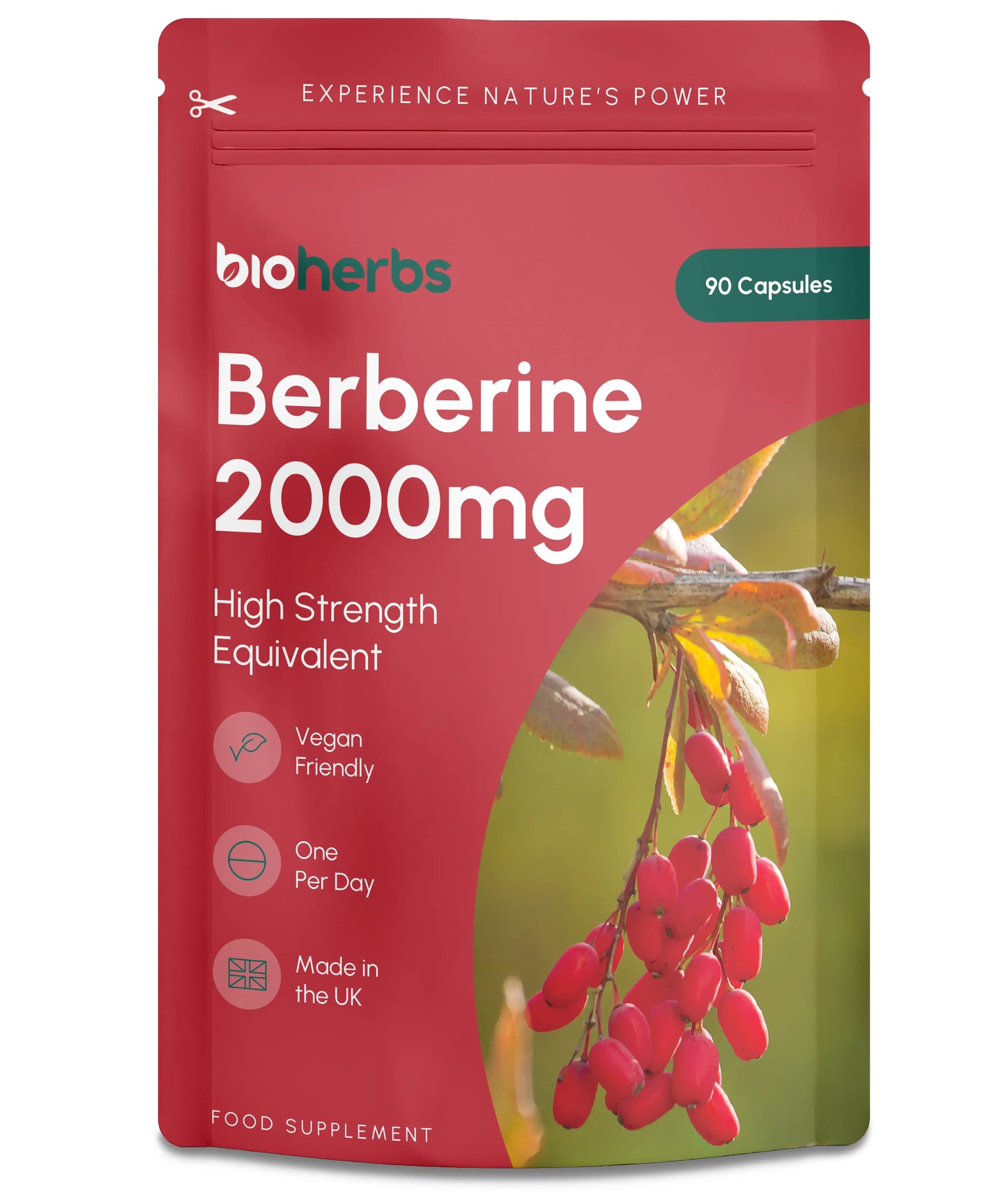 BioHerbs Berberine HCL Supplement High Strength - 99% HCL | 90 One-Per-Day Capsules (3-Month Supply)