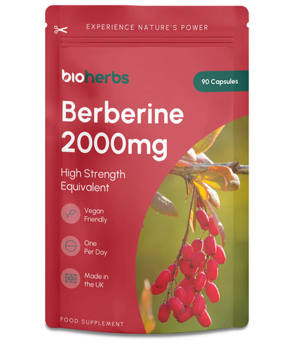BioHerbs Berberine HCL Supplement High Strength - 99% HCL | 90 One-Per-Day Capsules (3-Month Supply)